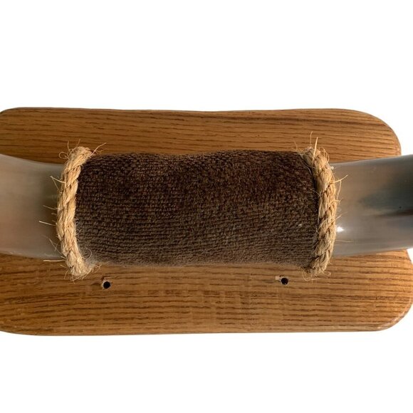 Animal Horn Bull Buffalo ? Mounted 18" Width - Picture 4 of 8